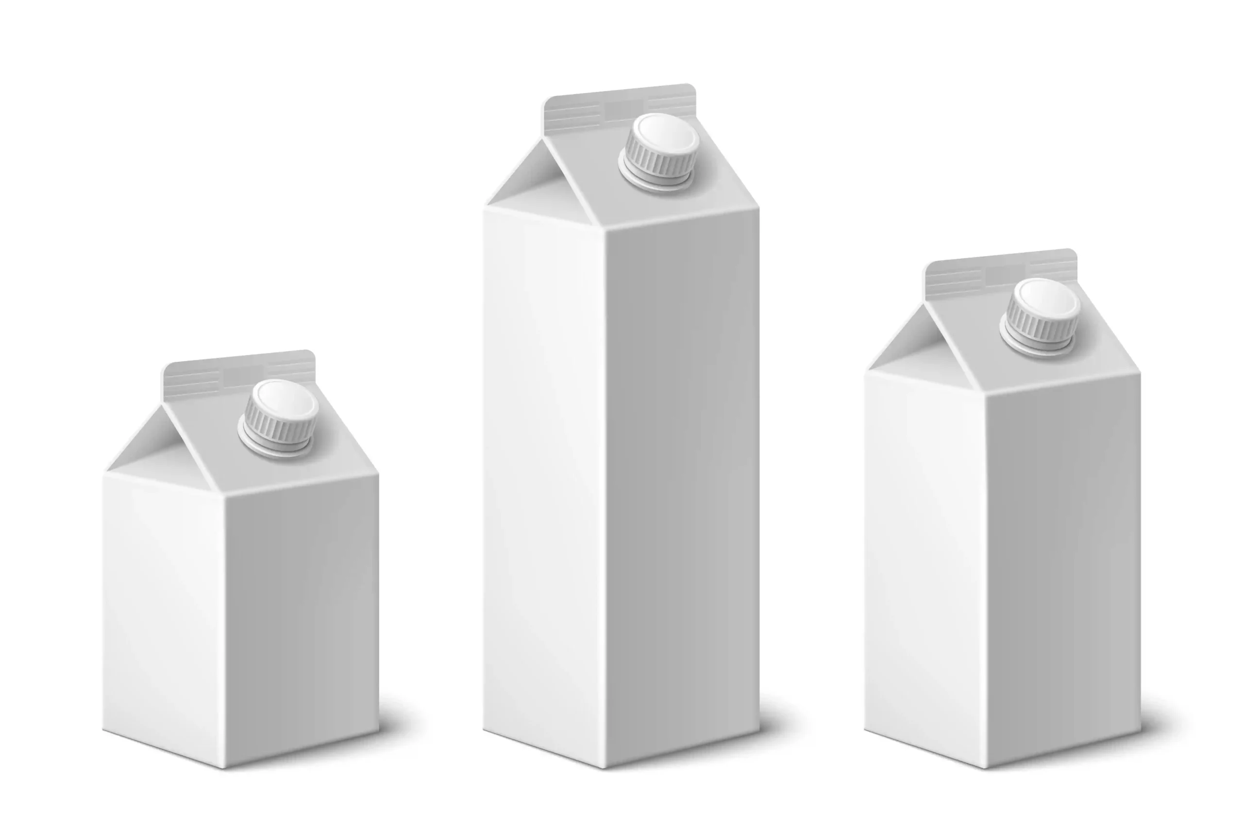 Missing Milk Carton Template